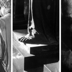 Serie: Paradise Lost