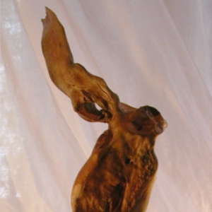 Angelus minor