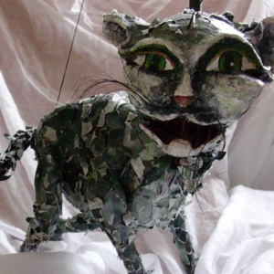 Anit, die Katze